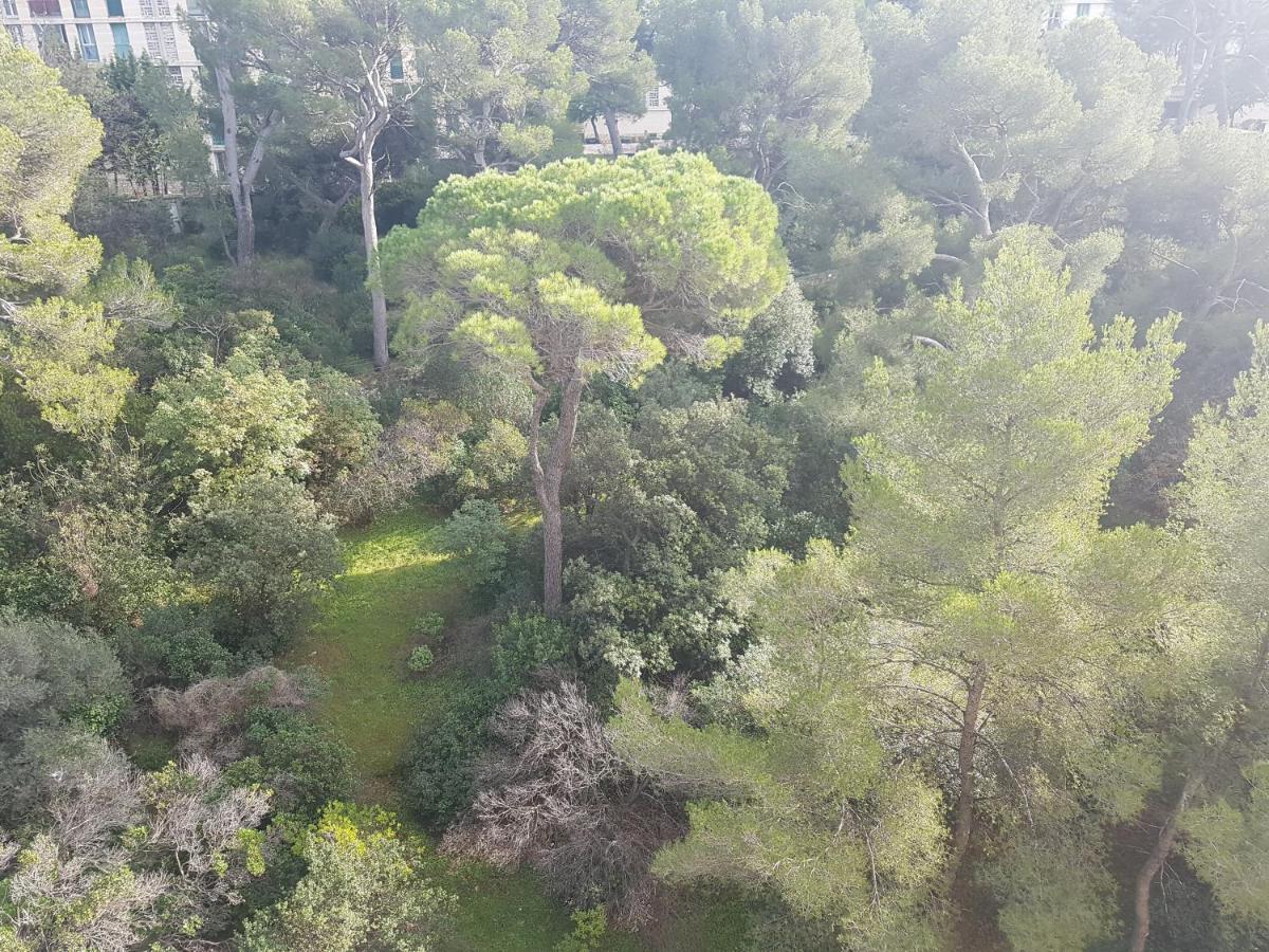 Mer D'Elen Marsilya Dış mekan fotoğraf